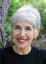 The Glass Universe by Dava Sobel The Glass Universe by Dava Sobel